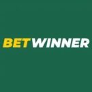 BetWinner