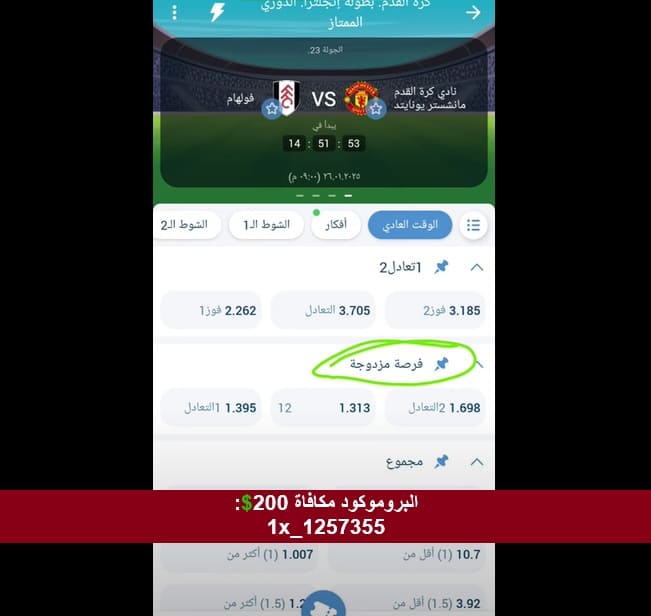 رهان الفرصة المزدوجة